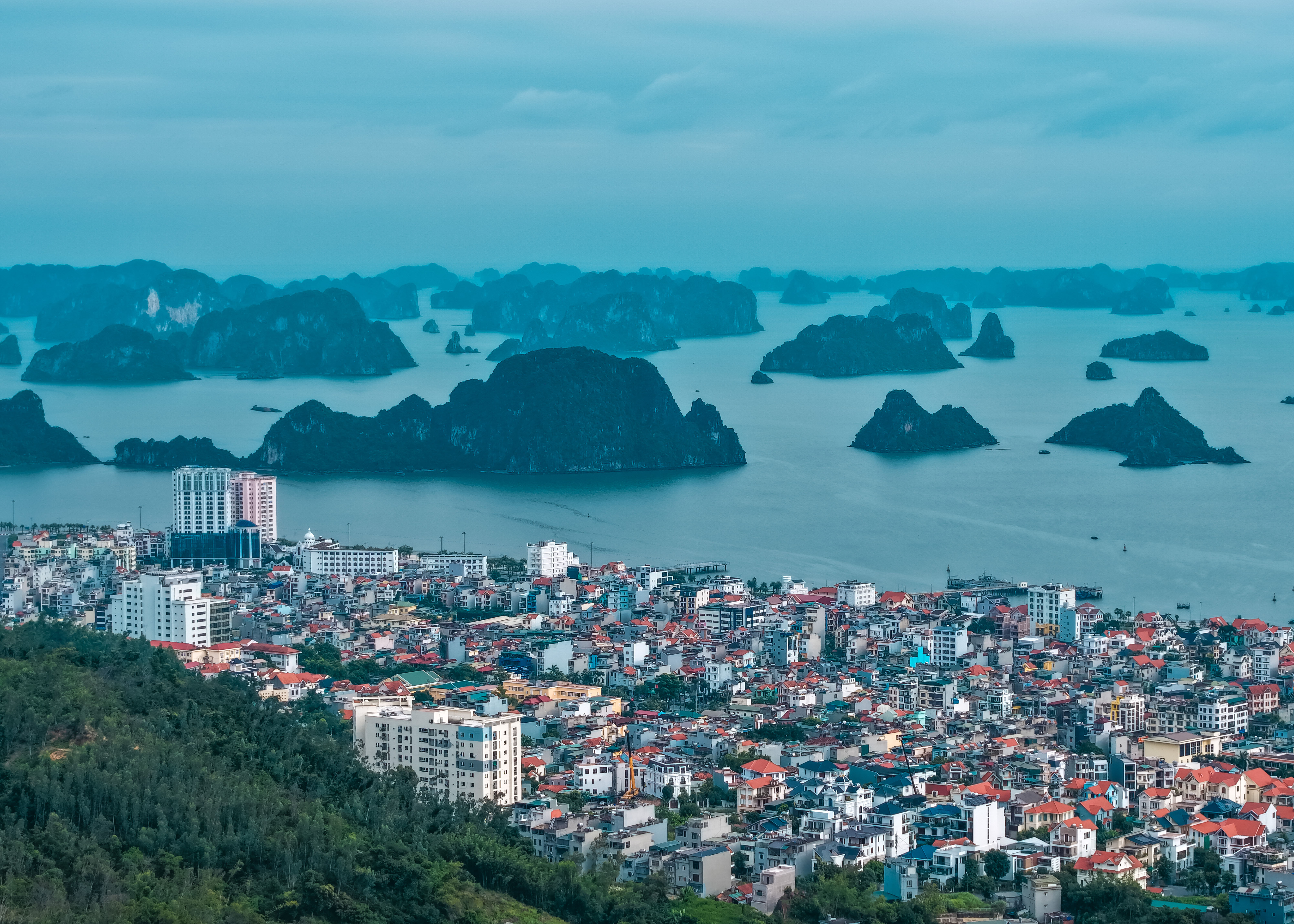 越山海·见世界!第八届三八妇乐企业文化节官宣来了~