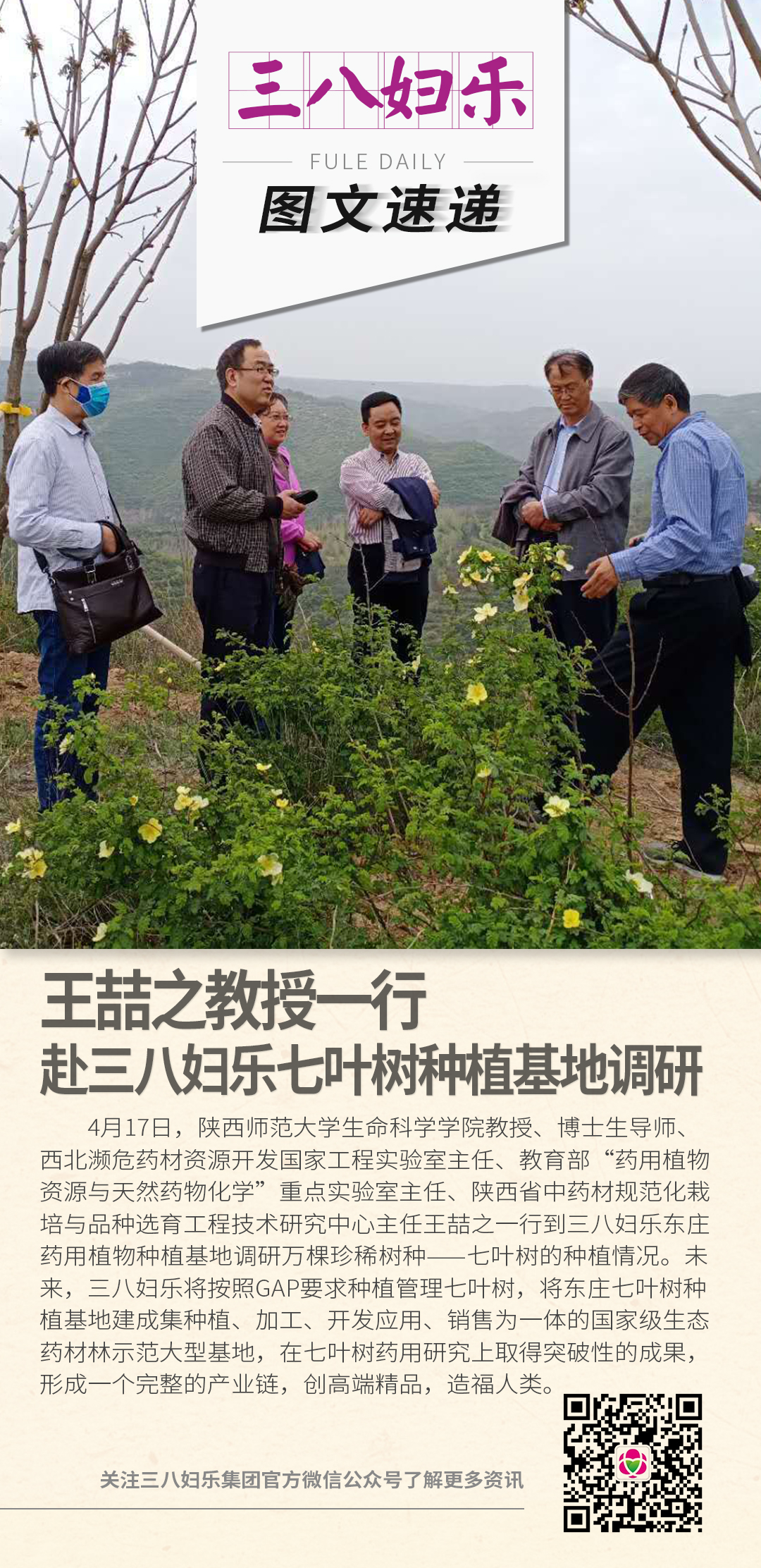 王喆之教授一行赴三八妇乐七叶树种植基地调研